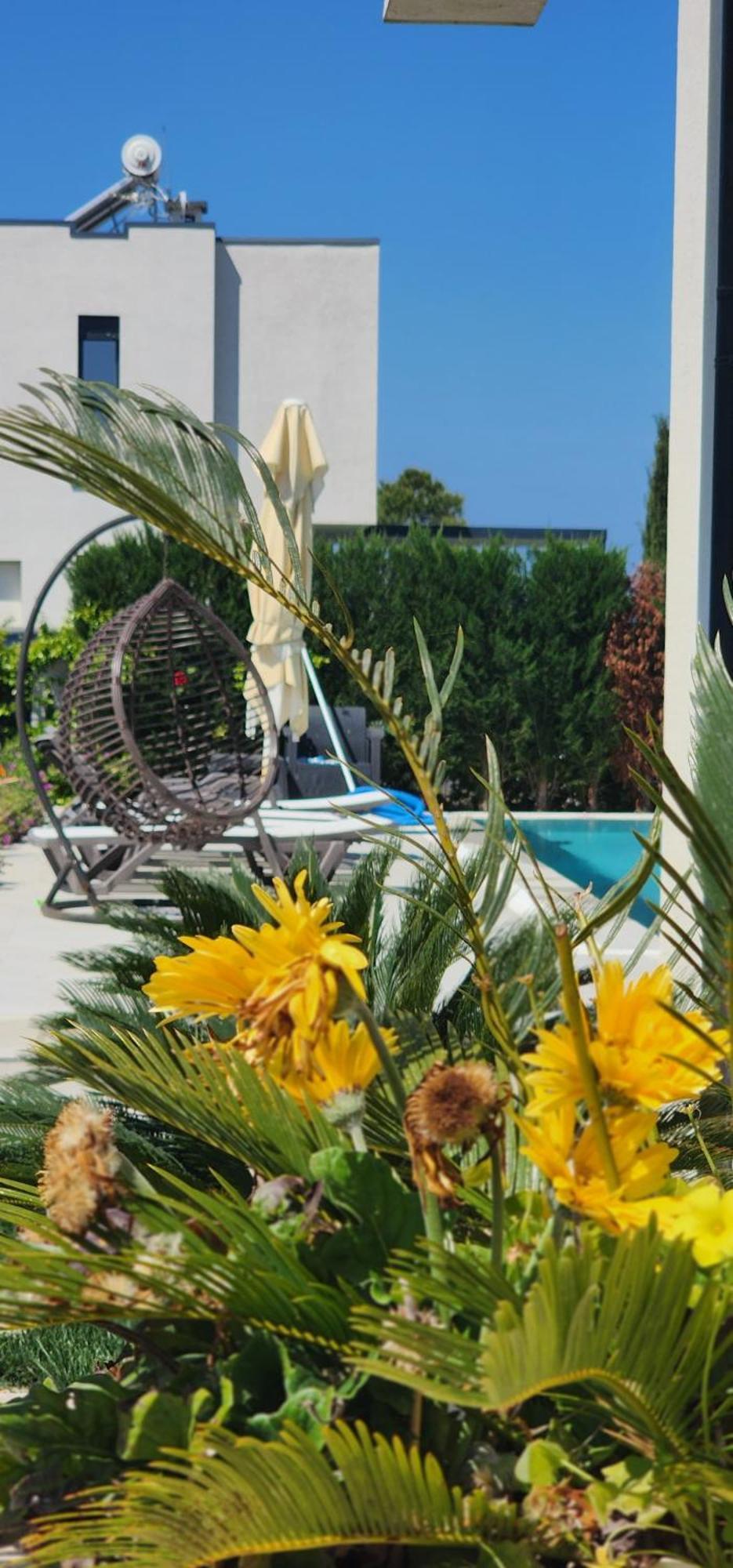 דורס Vila 29 Valamar מראה חיצוני תמונה